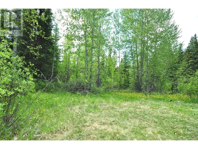 5065 Cave Rd, Home with 0 bedrooms, 0 bathrooms and null parking in Horsefly BC | Image 7