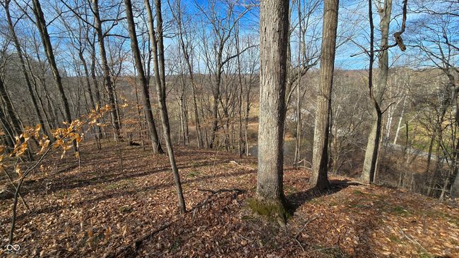 9885 W County Road 75 S, Home with 0 bedrooms, 0 bathrooms and null parking in Medora IN | Image 22