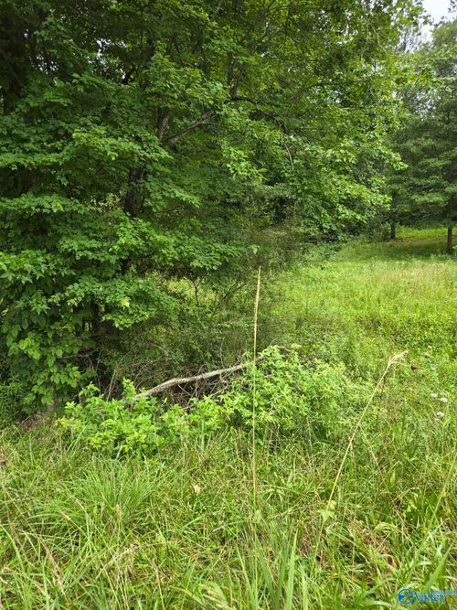 1 Acre Clairmont Springs Rd, Lineville, AL, 36266 | Card Image