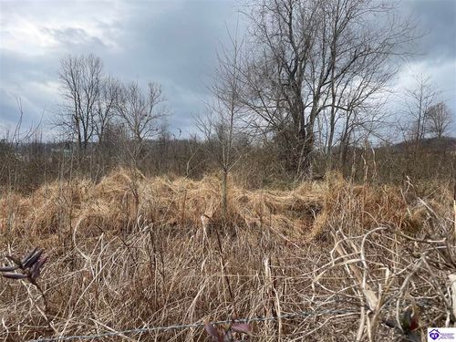 tract 3 May Irby Lane, Cloverport, KY, 40111 | Card Image