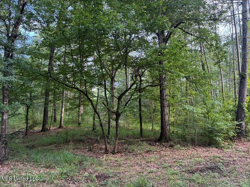 3352a Mound Rd Ne, Wesson, MS, 39191 | Card Image
