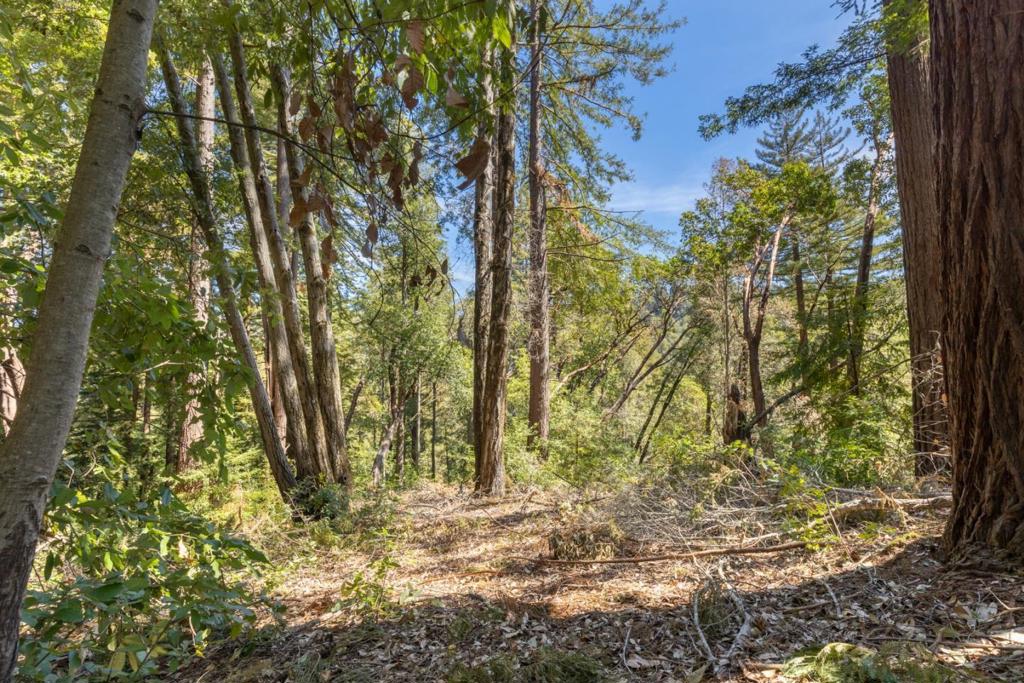 Land in Brookdale 4