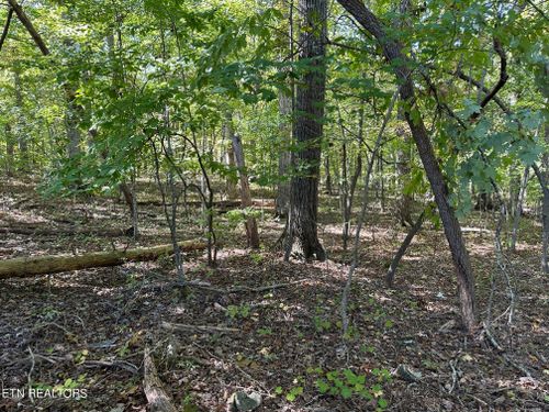 411412 Smith Rd, Spring City, TN, 37381 | Card Image