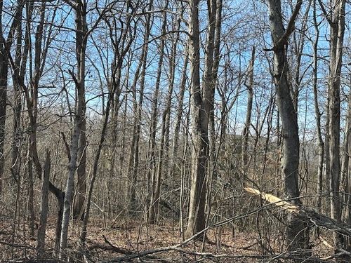 0 Pinewood Rd, Primm Springs, TN, 38476 | Card Image