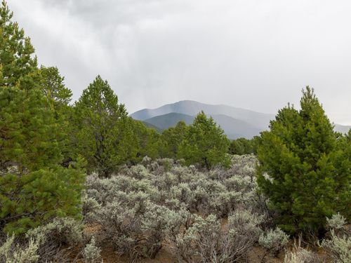 TBD Coyote Rd, Questa, NM, 87556 | Card Image