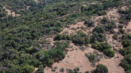 8 Acres, Miramonte, CA, 93641 | Card Image