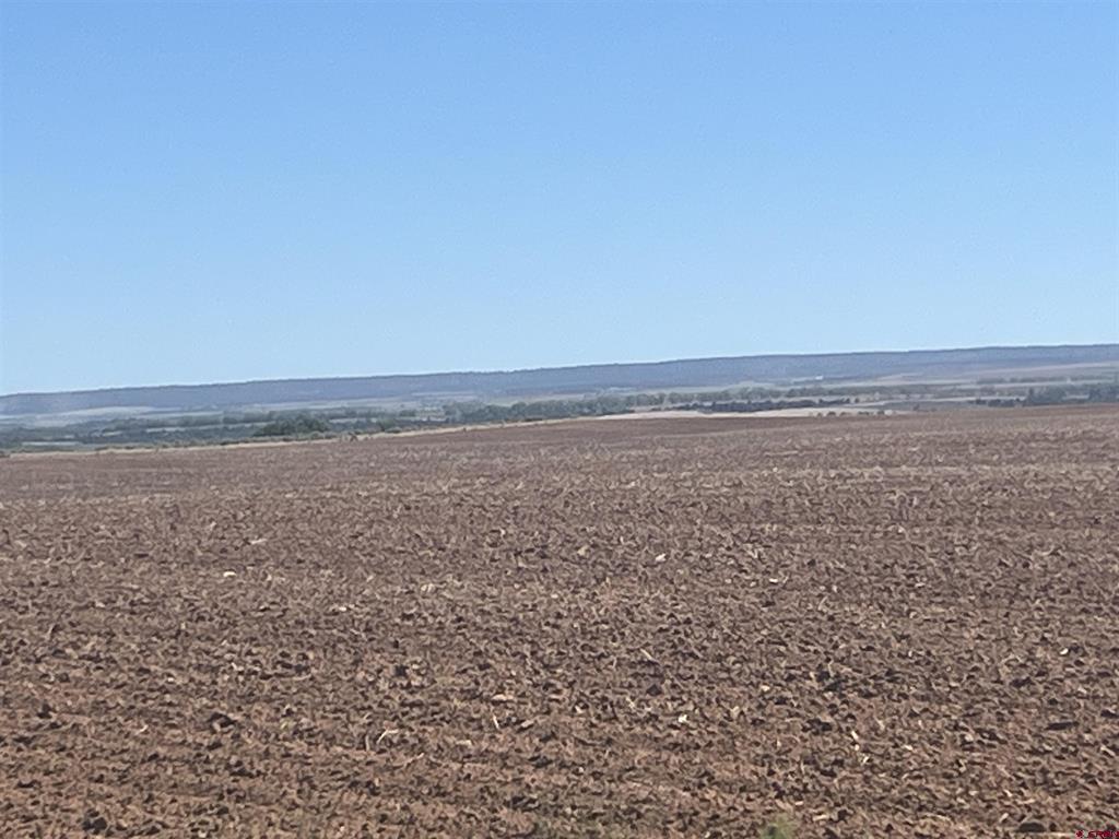 Land in Dove Creek 3