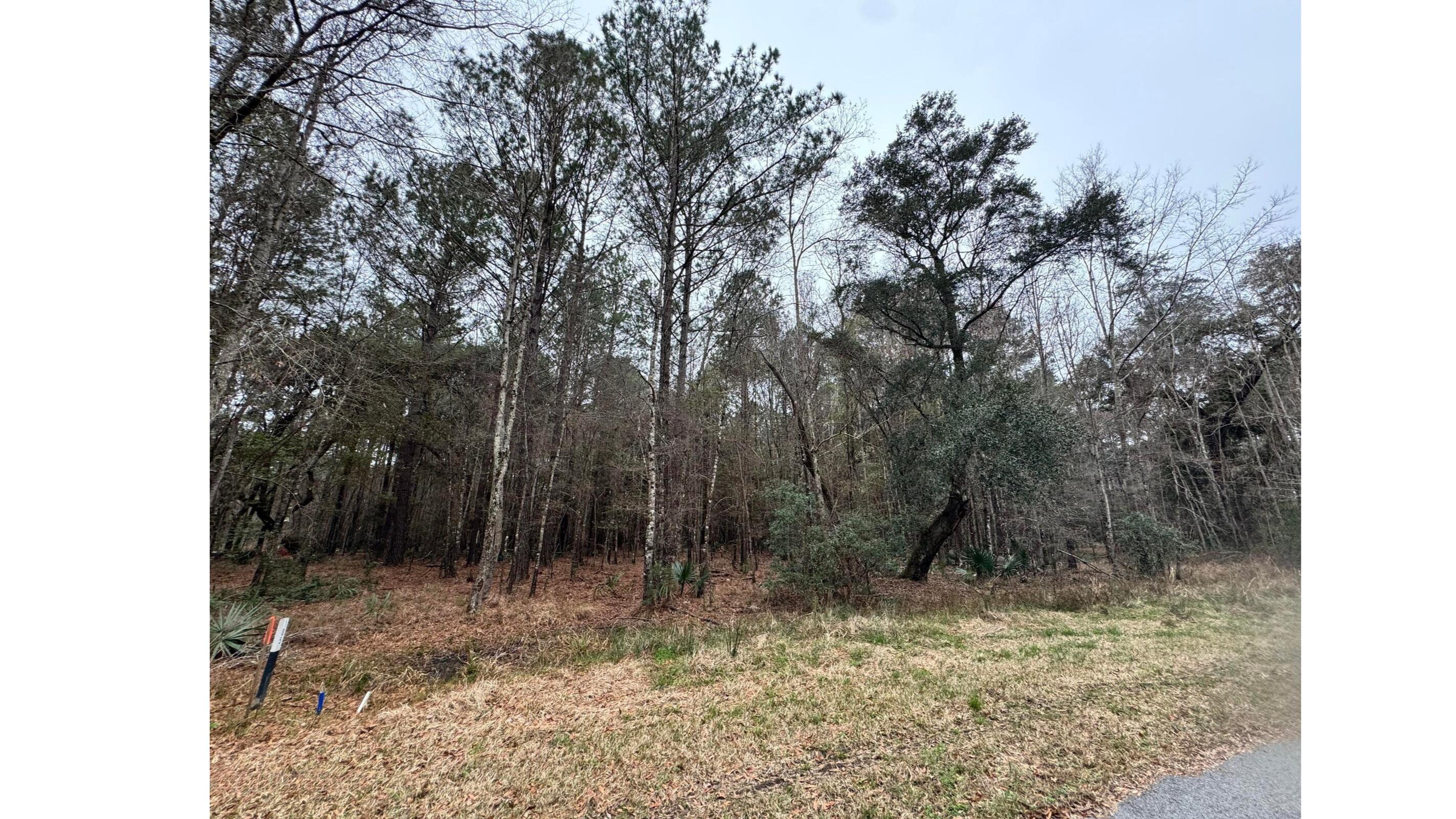 Land in Yemassee 4