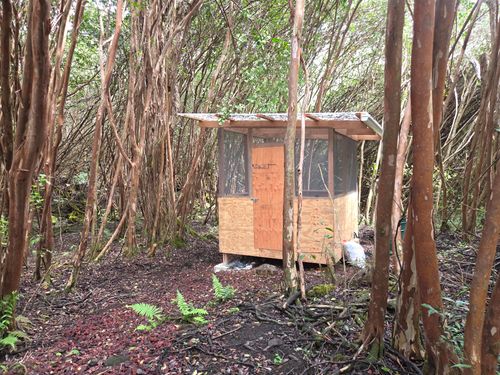 1 Lanai St, PAHOA, HI, 96778 | Card Image