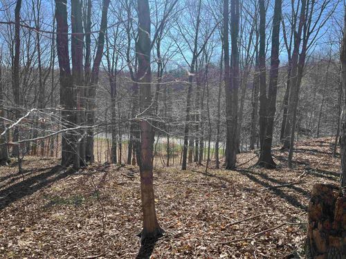 Parcel E Lobb Road, Crystal Lake Township, MI, 49635 | Card Image