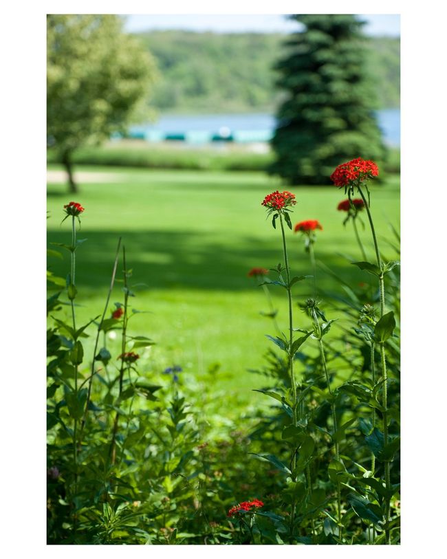 Don't forget to stop and smell the flowers! | Image 40