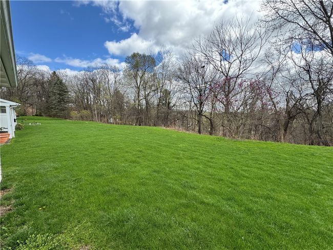 Rear yard | Image 29