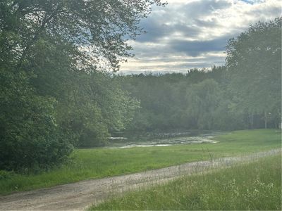 View of small pond | Image 2