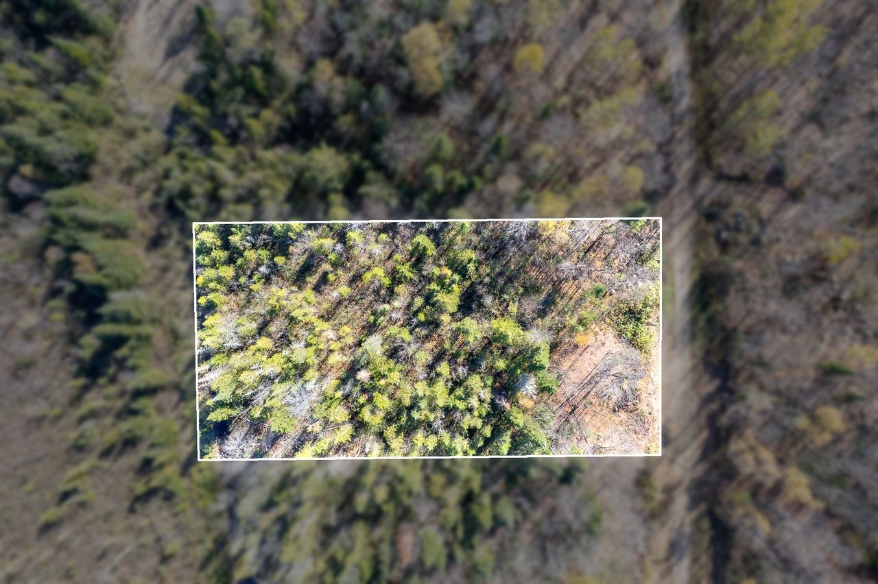 Land in Saint-Didace 3