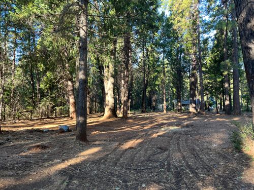 7076 Alward Rd, Shingletown, CA, 96088-9701 | Card Image