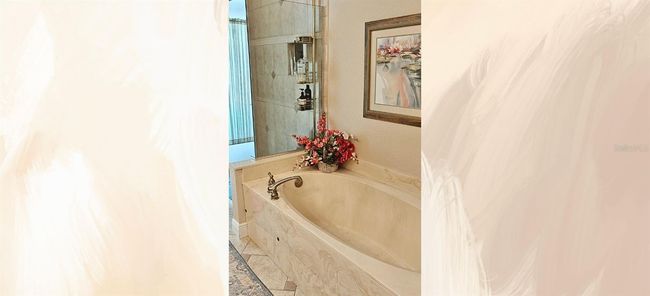 Primary Bathroom Bath/Shower | Image 16