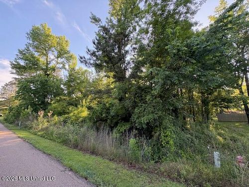 106 Holly Bush Place, Brandon, MS, 39047 | Card Image