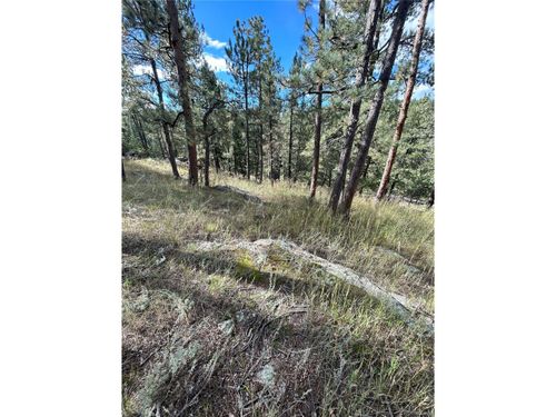 5233 S Road A, Evergreen, CO, 80439 | Card Image