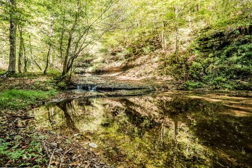 0 S Randall Rd, Westpoint, TN, 38486 | Card Image