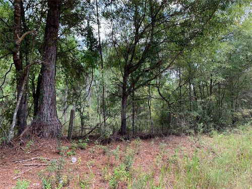 19372 B F Finley Circle, SANDERSON, FL, 32087 | Card Image