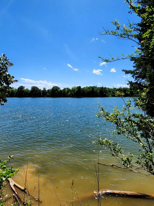 0 Espalier Dr, Decatur, TN, 37322 | Card Image