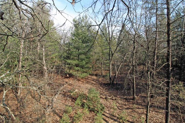7750 Pine Rd, House other with 3 bedrooms, 2 bathrooms and null parking in ARENA WI | Image 57