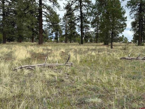 1343 Wheeler Pl, Pagosa Springs, CO, 81147-7937 | Card Image