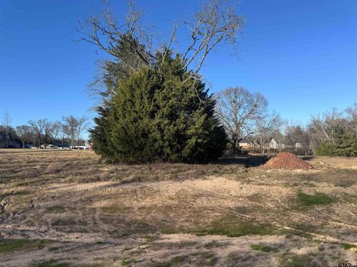 14001 Cedar Hill Cir, Tyler, TX, 75701 | Card Image