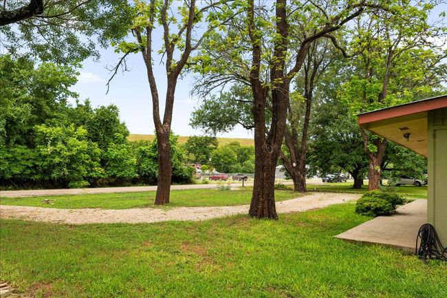 View of green lawn | Image 34