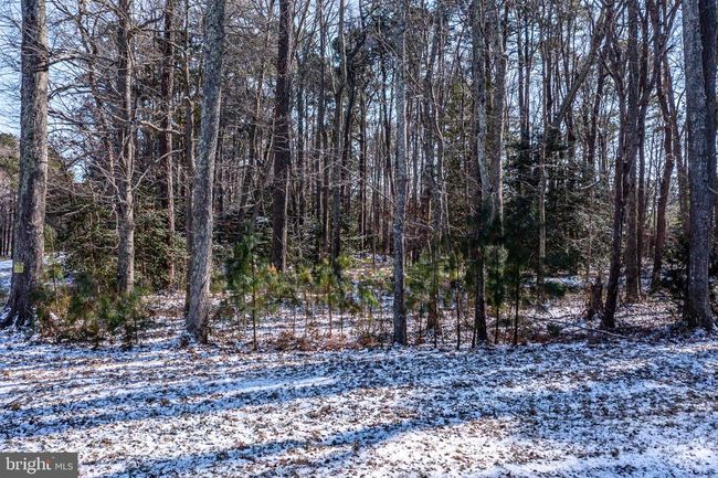0 Georges Cove Dr, Home with 0 bedrooms, 0 bathrooms and null parking in White Stone VA | Image 10
