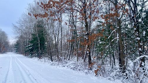 TBD Spruce Cir, Garrison, MN, 56450 | Card Image