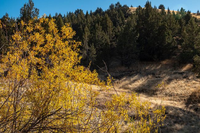 46459 Shaniko-Fossil Hwy RX_0212 copy | Image 53