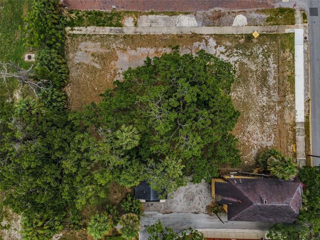 1005 W Platt St, Home with 0 bedrooms, 0 bathrooms and null parking in TAMPA FL | Image 12