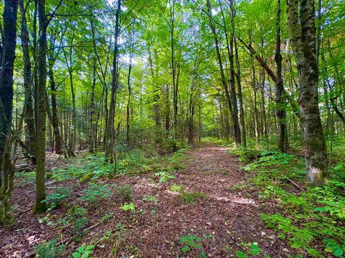 0 Partridge Hollow Rd, North Troy, VT, 05859 | Card Image