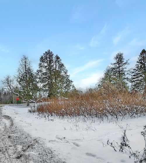 000 Mountain View Rd, Whitefield, NH, 03598 | Card Image