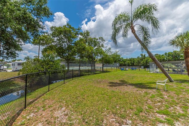 dog park | Image 29