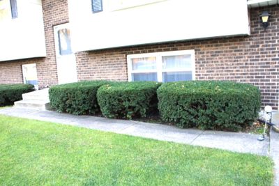 Buckeye bushes and door | Image 2