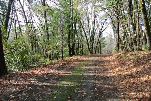 5577 Pine Ridge Rd, Foresthill, CA, 95631-9748 | Card Image