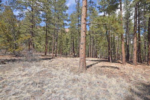 Lot 49 A Cool Pines, Jemez Springs, NM, 87025 | Card Image