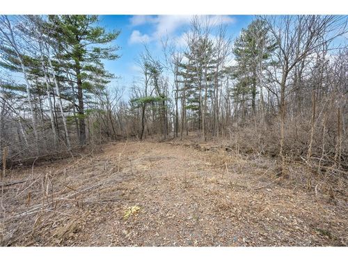 tbd W Main St, Balsam Lake, WI, 54810 | Card Image