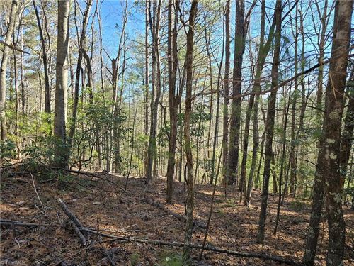 TBD Timber Ridge Rd, Millers Creek, NC, 28651 | Card Image