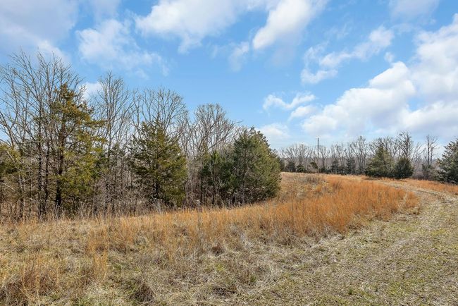 43 Joe Ridge Rd, Home with 3 bedrooms, 1 bathrooms and 1 parking in Celina TN | Image 34