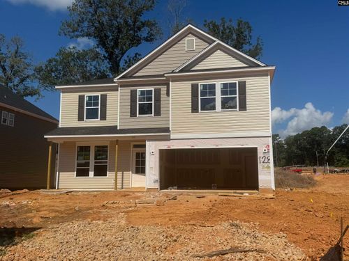 517 Griffon Dr, Chapin, SC, 29036-9868 | Card Image