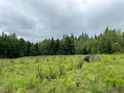 000 Powder Springs Road, Home with 0 bedrooms, 0 bathrooms and null parking in Groton VT | Image 3