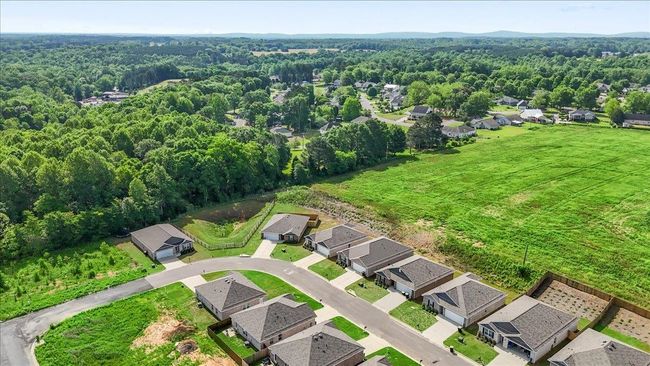 1516 Heritage Cir Se, House other with 4 bedrooms, 2 bathrooms and null parking in Cullman AL | Image 42