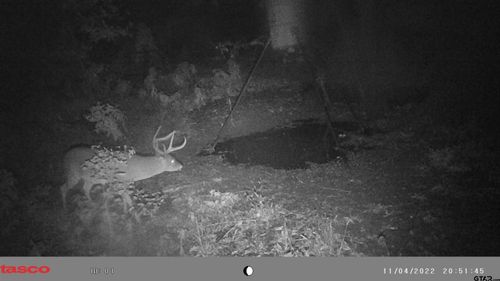 TBD 18.77 Acres Fm 279, Chandler, TX, 75758 | Card Image