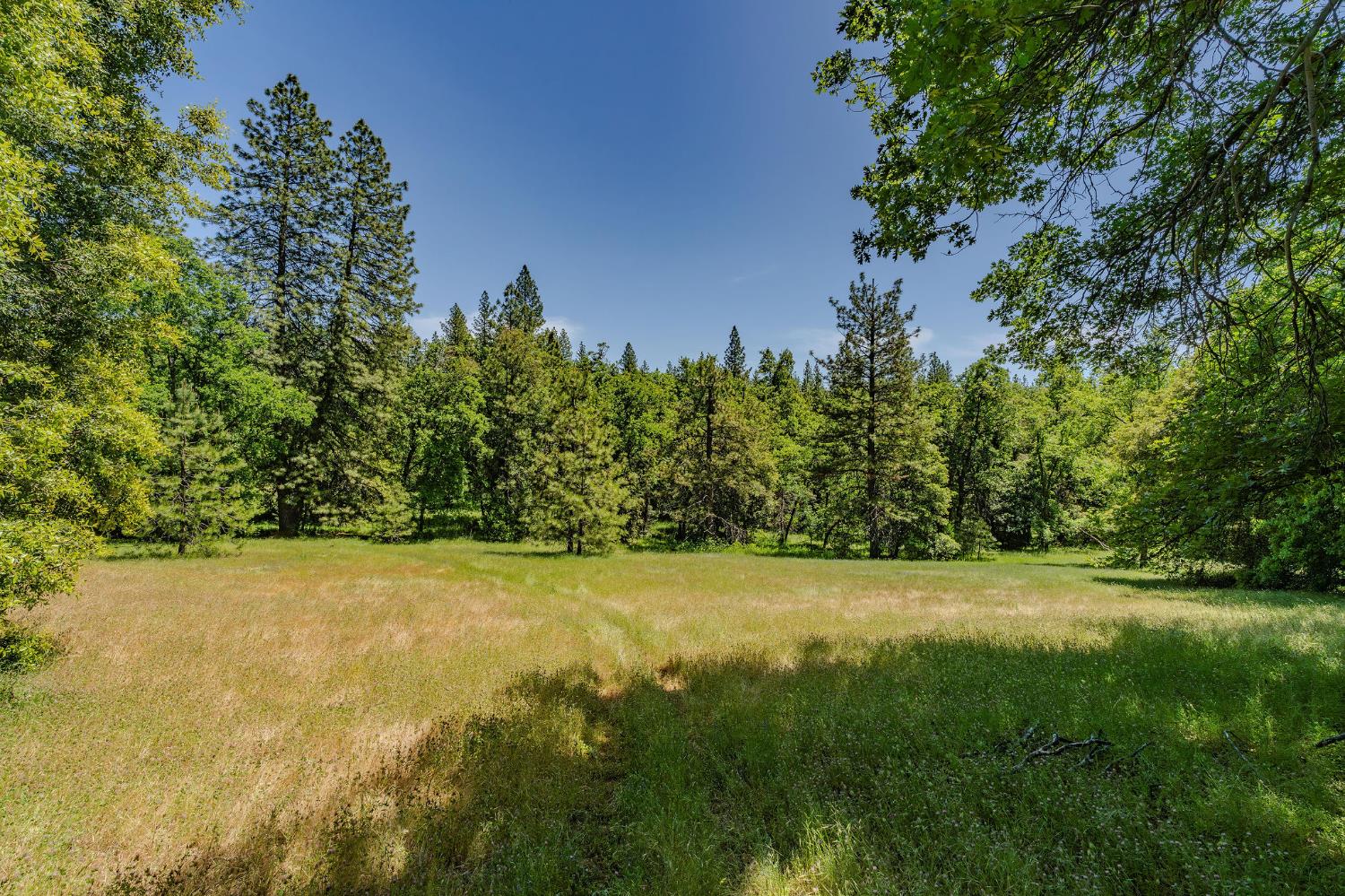 Land in Pioneer 5