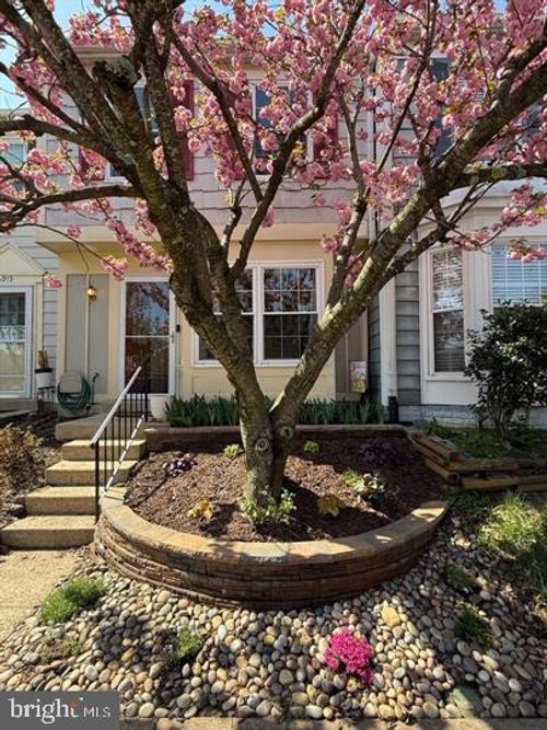 6917 Chiswick Ln, ALEXANDRIA, VA, 22310-4301 | Card Image