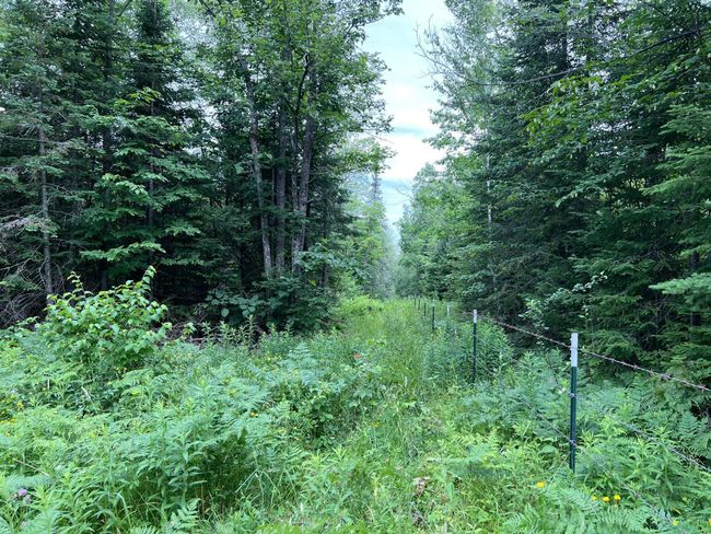 Perimeter fencing | Image 40