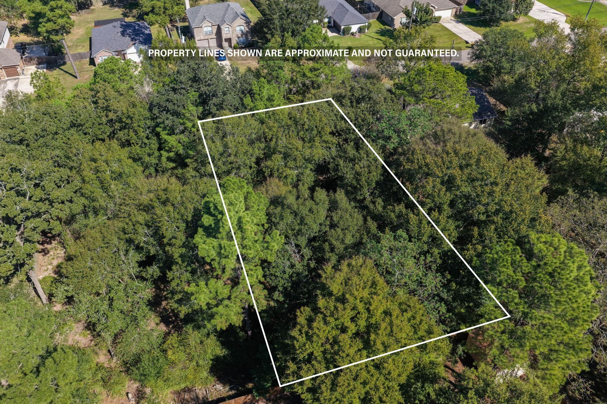 Land in Magnolia 5